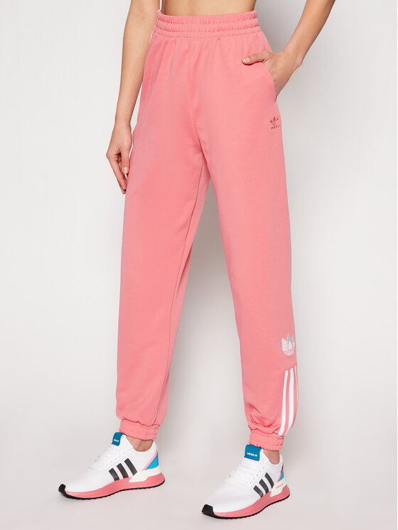 Adidas d rose pants top