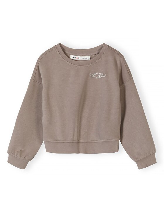 minoti minoti Bluza 30SCUBA150 Brązowy Loose Fit