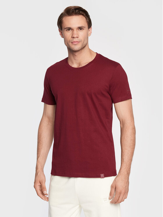 T-shirt T-Basic M02056-W23 Bordeaux Regular Fit