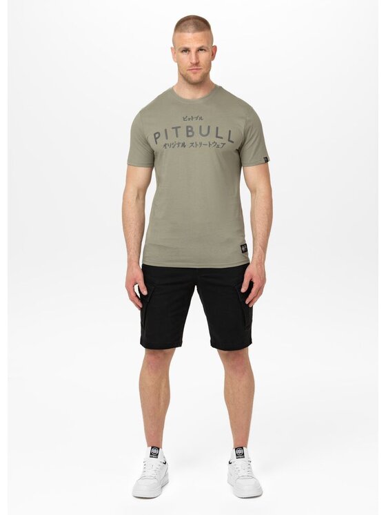 PITBULL PITBULL T-Shirt Koszulka męska MT. FUJI 3XL Szary Regular Fit