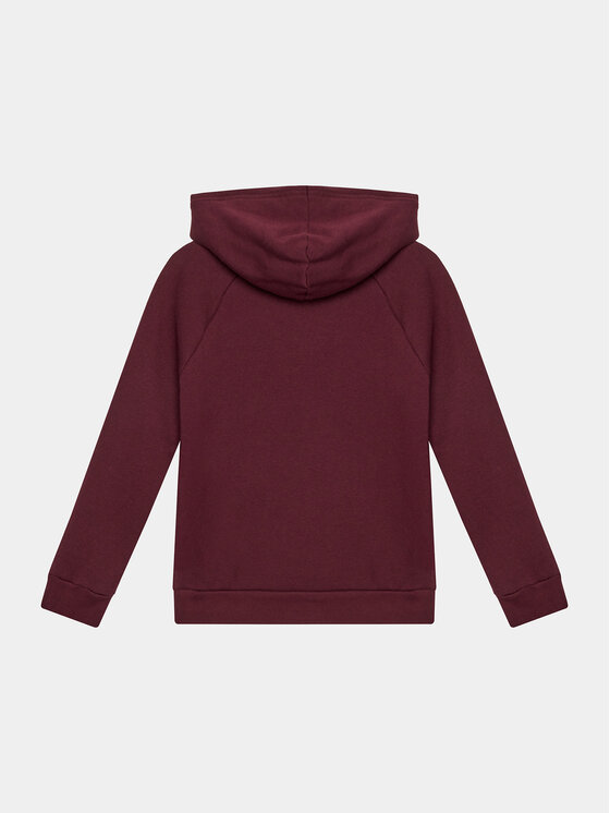 Under Armour Under Armour Суитшърт Ua Rival Fleece Hoodie 1379792 Бордо Loose Fit