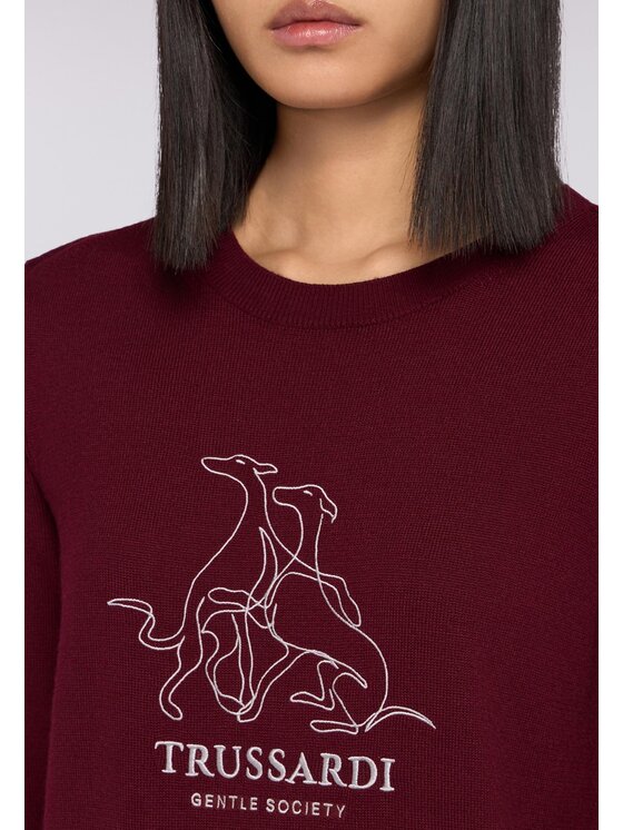 Trussardi Trussardi Maglione M0126001158N036 Marrone Regular Fit