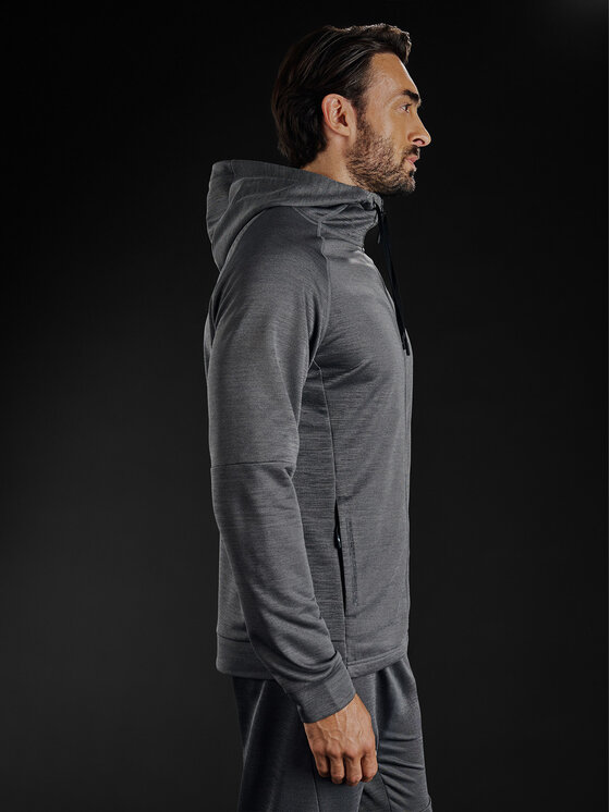 4F 4F Bluza techniczna GOLDEN WARRIOR Szary Regular Fit