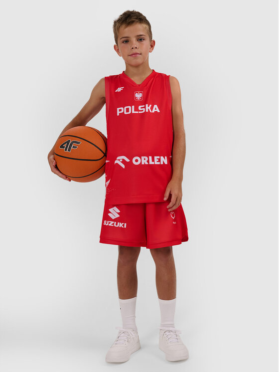4F 4F Koszulka techniczna TEAMWEAR Kolorowy Regular Fit