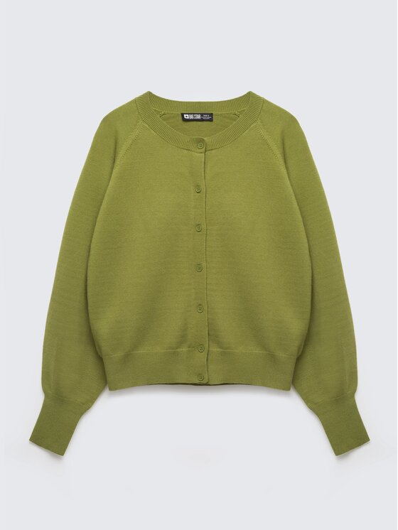 BIG STAR BIG STAR Kardigan SUZANA_301_160 Zielony Basic Fit