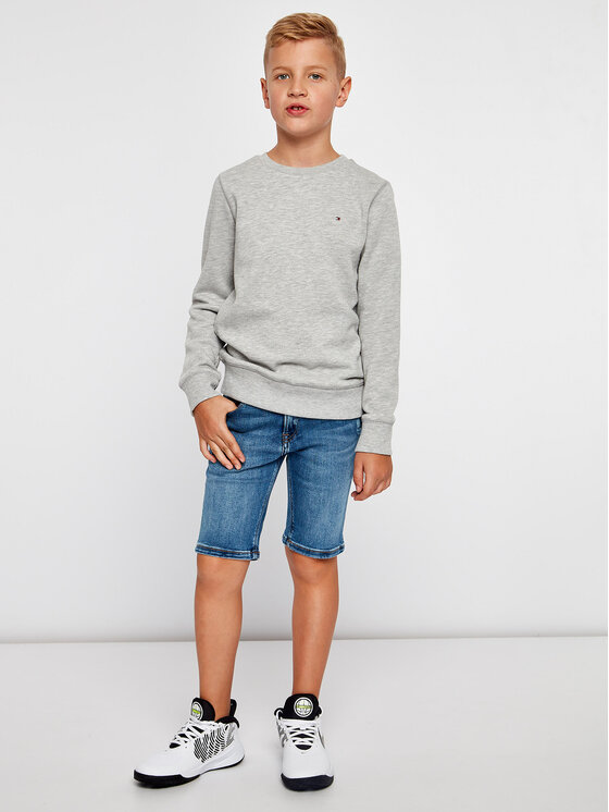 boys tommy hilfiger hoody