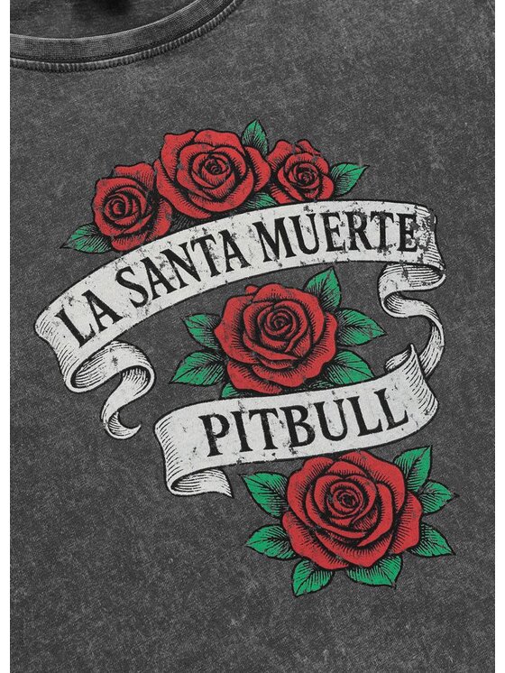 PITBULL PITBULL T-Shirt SANTA MUERTE Szary Regular Fit