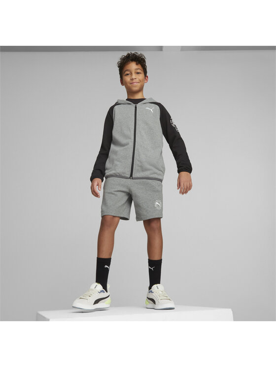 Puma Puma Bluza 673206 Szary Regular Fit