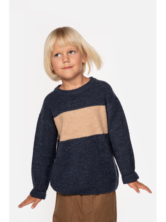 Coccodrillo Coccodrillo Sweter ZC3172101ATK-015 Granatowy Regular Fit