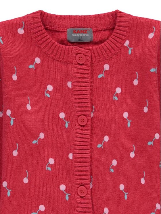 Kanz Kanz Sweter 1912157-2004 Czerwony Basic Fit