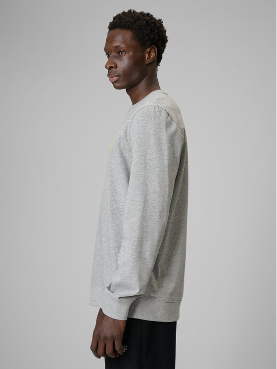 4F 4F Longsleeve FLUID EXPRESSIONS Szary Regular Fit