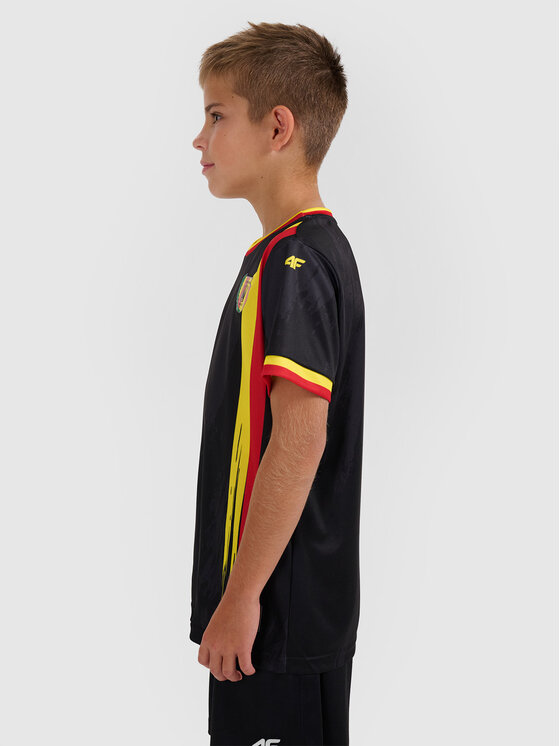 4F 4F Koszulka techniczna TEAMWEAR Kolorowy Regular Fit