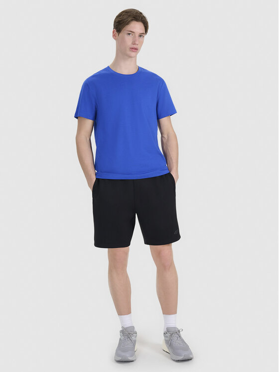 4F 4F T-Shirt A NEW ROAD AHEAD Niebieski Regular Fit