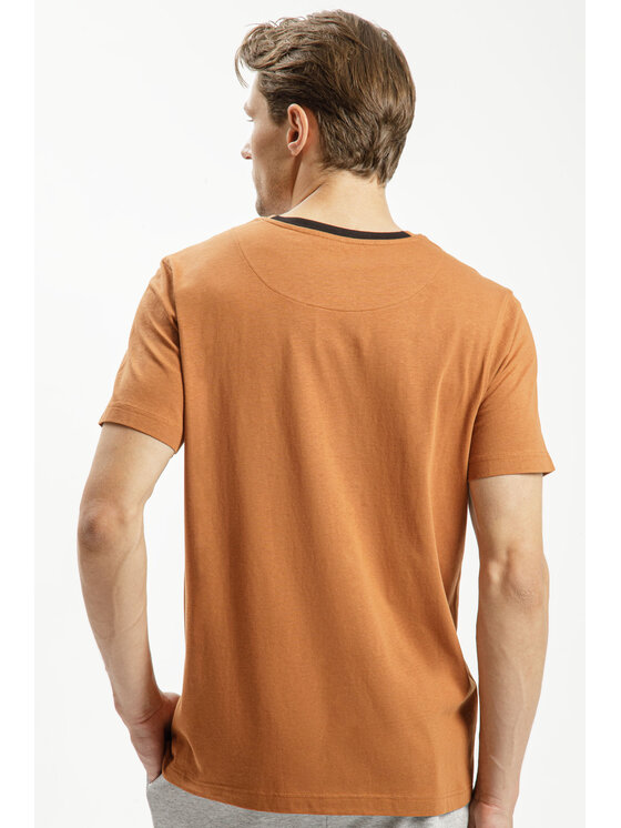 Cross Jeans Cross Jeans T-Shirt 16022-548 Brązowy Regular Fit