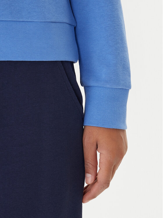 Kappa Kappa Bluză Logo Fekka 371M5EW Albastru Regular Fit