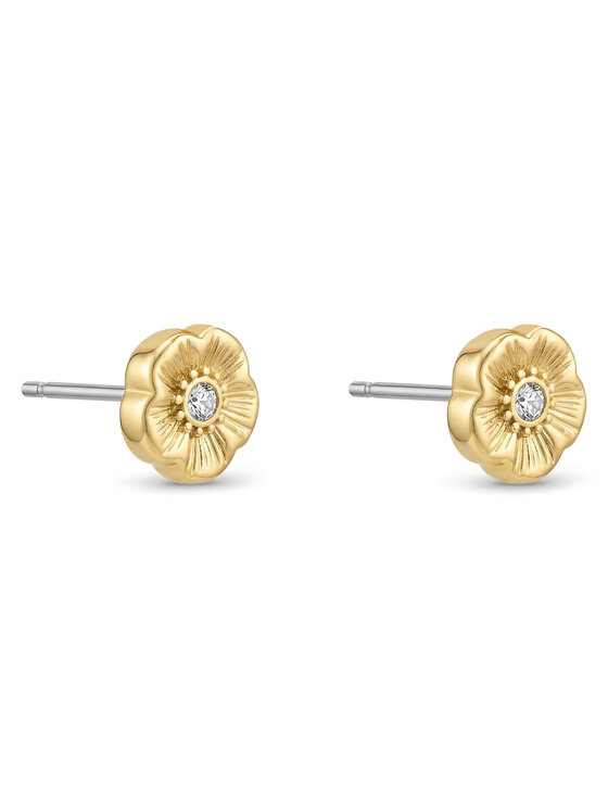 Coach Coach Kõrvarõngad 37546482 Kuldne