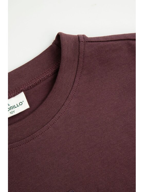 Coccodrillo Coccodrillo T-Shirt ZC6143201WGJ-017 Bordowy Regular Fit