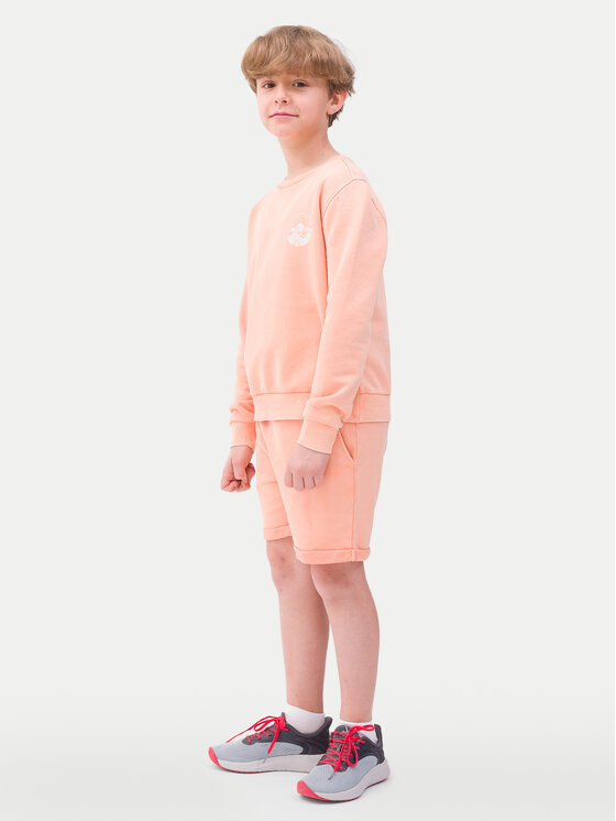4F 4F Bluza 4FJWSS24TSWSM0936 Pomarańczowy Regular Fit