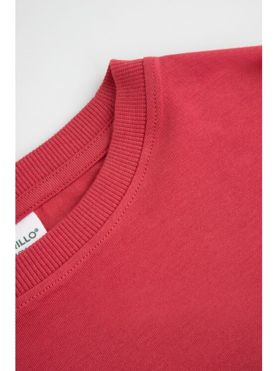 Coccodrillo Coccodrillo Bluza WC6143103GGJ-007 Różowy Regular Fit