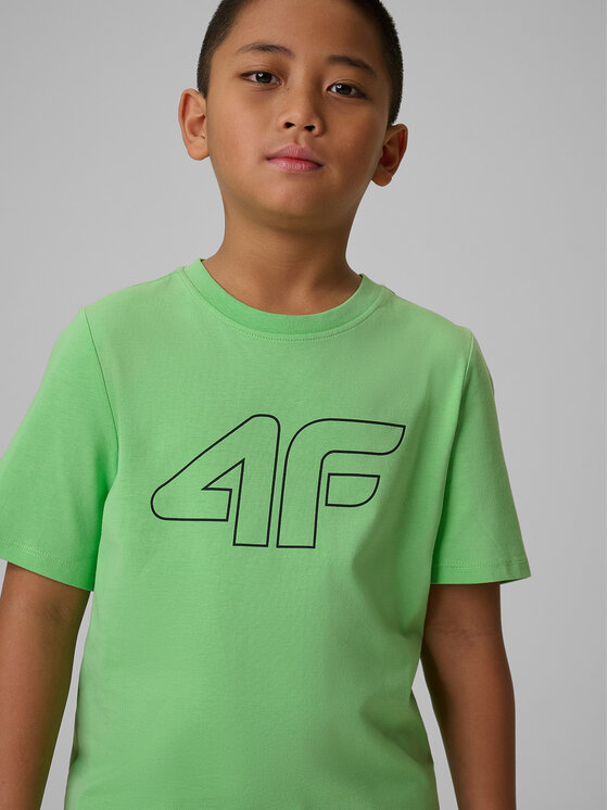 4F 4F T-Shirt BASIC+ Zielony Regular Fit