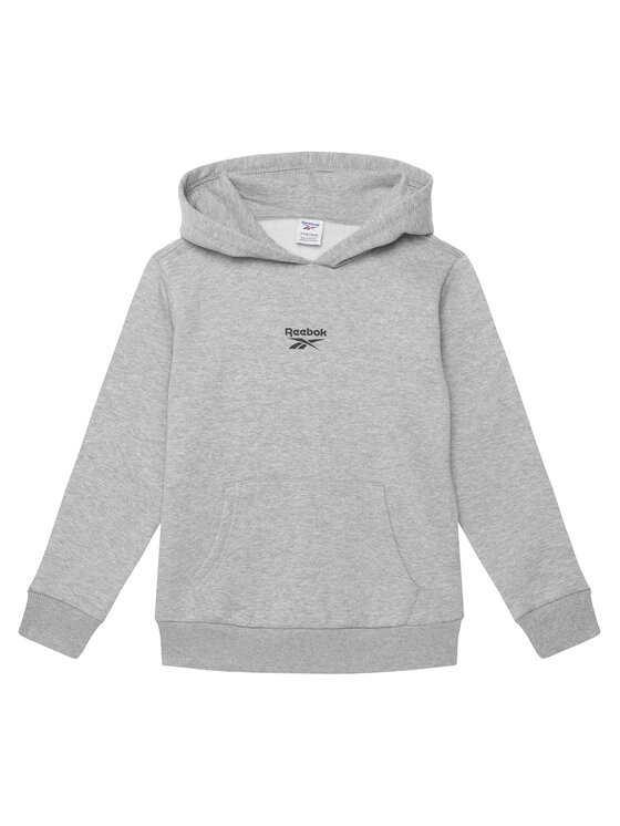 Reebok Reebok Set trenerka RK95228CCB Siva Regular Fit