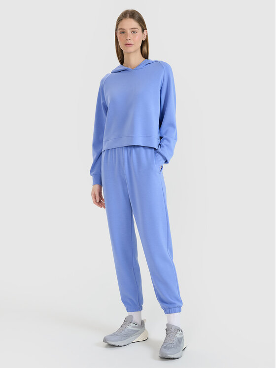 4F 4F Bluza COMMON GROUND Niebieski Regular Fit