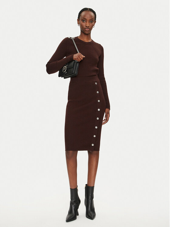 PINKO PINKO Ravno krilo Costina 104021 A15S Rjava Regular Fit