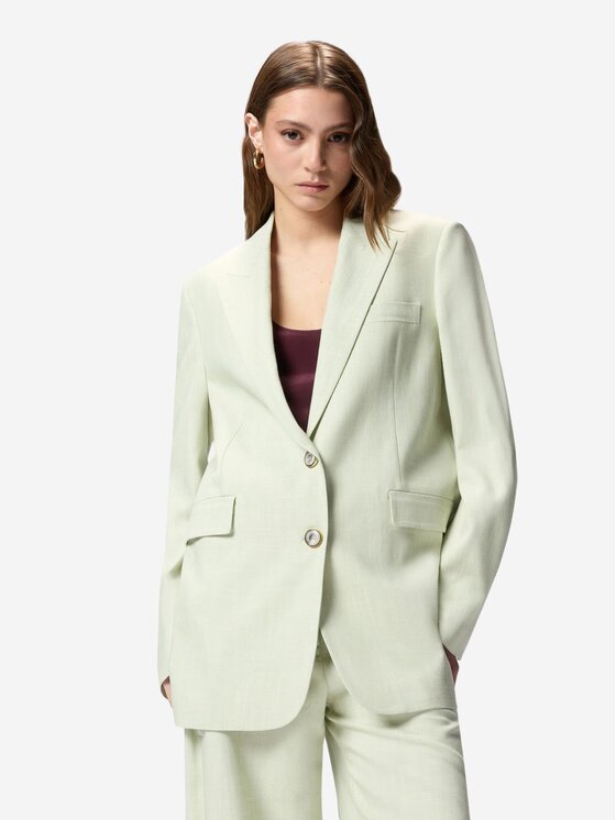 PINKO PINKO Giacca da donna FAITH GIACCA FRISOTTINO Verde Comfort Fit