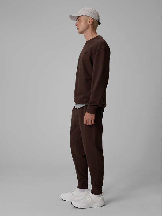 4F 4F Spodnie dresowe BASIC+ Brązowy Regular Fit