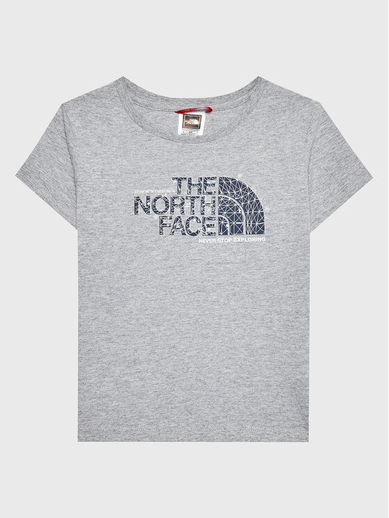 The North Face Majica Graphic NF0A7X5B Siva Regular Fit