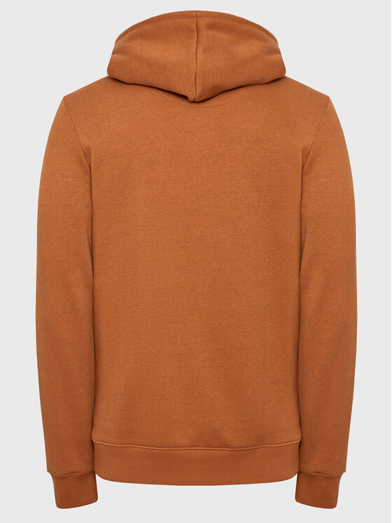 Felpa Cornell W1ZHB4 Marrone Regular Fit