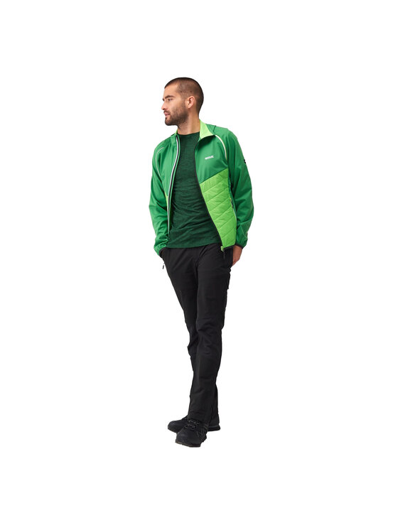 Regatta Regatta Kurtka outdoor Steren Hybrid Zielony Flexible Fit