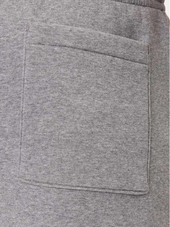 Nike Nike Sportiniai šortai FV7285 091 Pilka Regular Fit