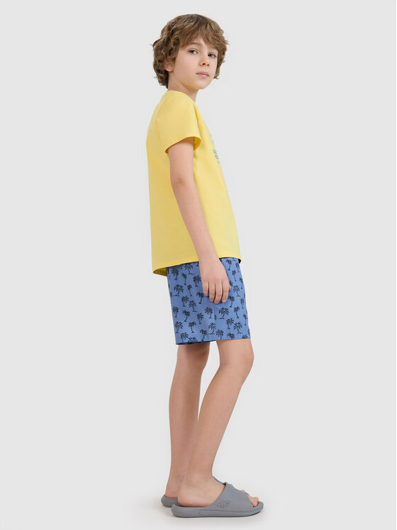 4F 4F Kąpielówki LUSH HORIZON
