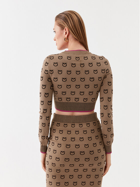 PINKO Pinko Pulover Furetto 101561 A112 Rjava Slim Fit
