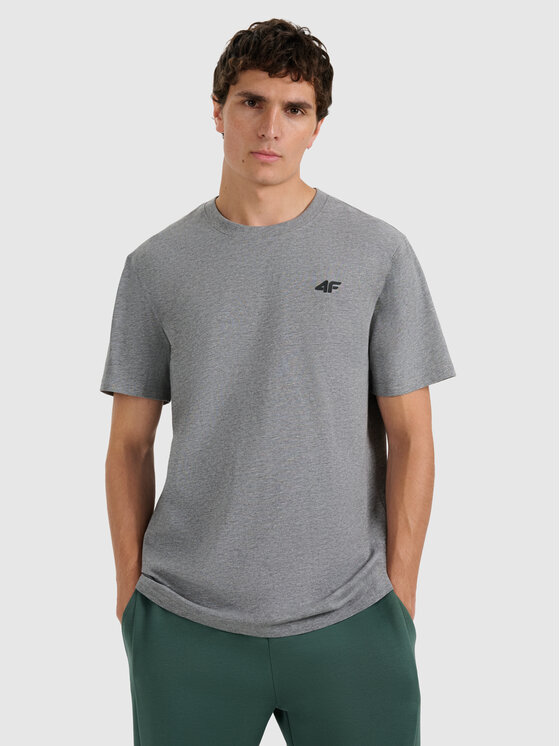 4F 4F T-Shirt NOS Szary jasny Regular Fit
