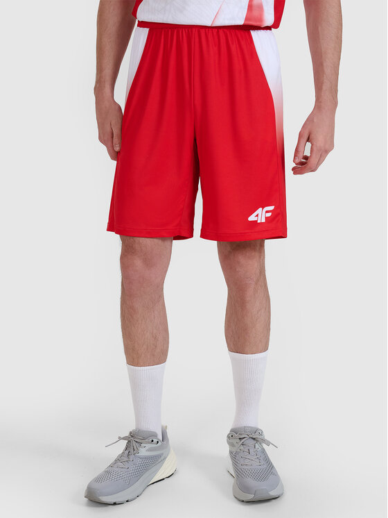 4F 4F Szorty sportowe TEAMWEAR Kolorowy Regular Fit