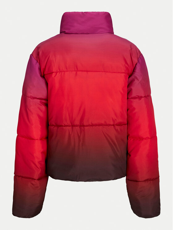 JJXX JJXX Zimska jakna Iris 12258075 Šarena Regular Fit