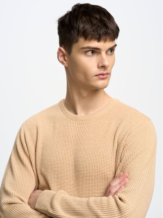 BIG STAR BIG STAR Sweter STANSON_801_160 Beżowy Basic Fit