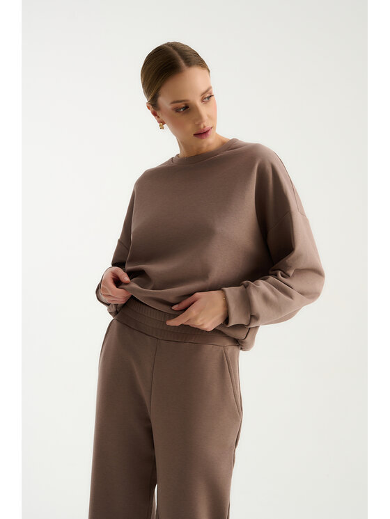 TRIPLES TRIPLES Spodnie dresowe Frankie Choco Brązowy Regular Fit