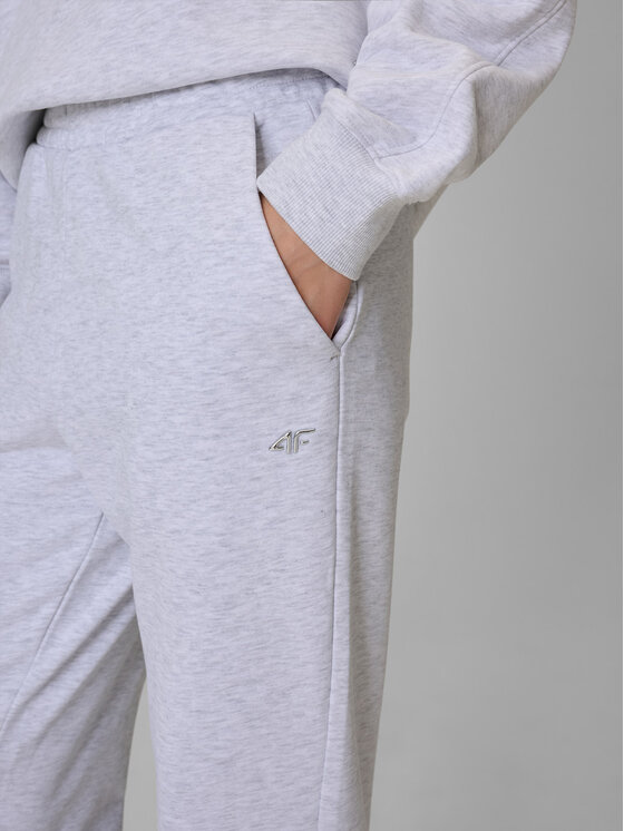 4F 4F Spodnie dresowe basic Szary jasny Regular Fit