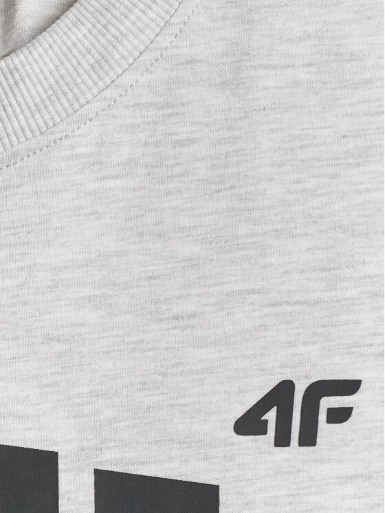 4F 4F T-Shirt casual Szary jasny Regular Fit