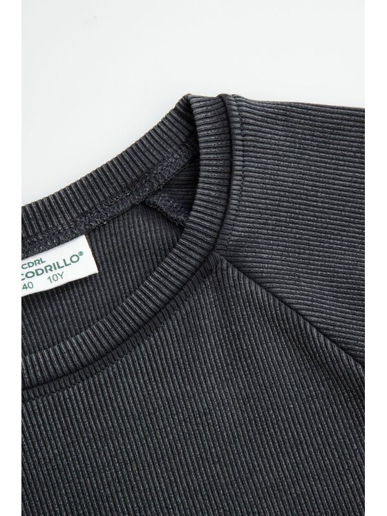 Coccodrillo Coccodrillo S dlouhým rukávem ZC6143104TGJ-021 Černá Regular Fit