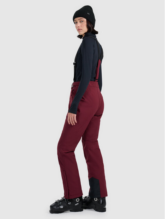 4F 4F Spodnie narciarskie SKIWEAR Bordowy Regular Fit