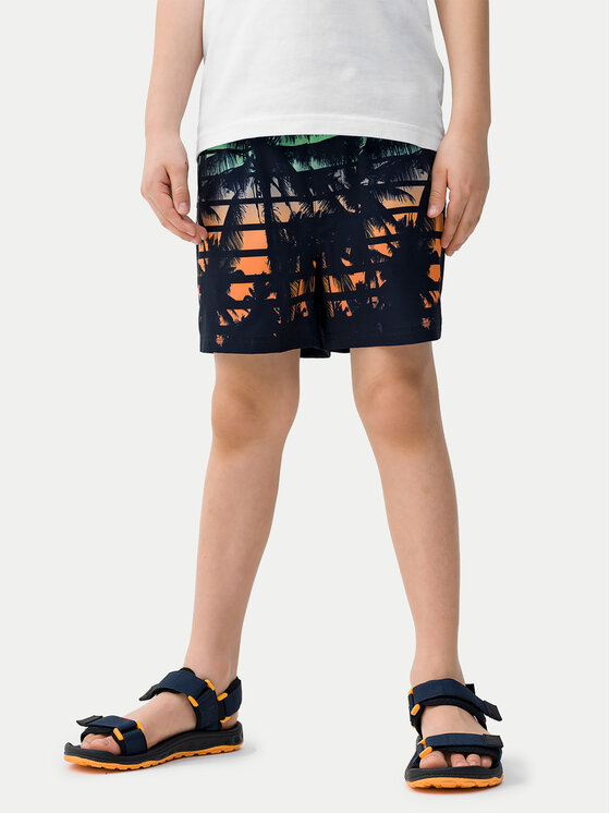 4F 4F Шорти для плавання 4FJWSS24UBDSM067 Кольоровий Regular Fit