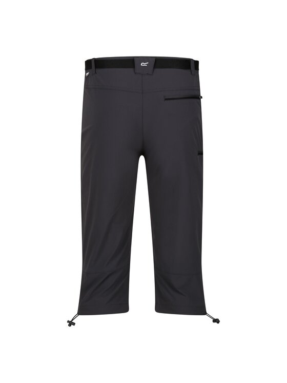 Regatta Regatta Szorty Xert Stretch III Szary Active Fit