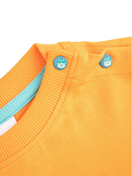 Coccodrillo Coccodrillo T-Shirt WC5143202DBN Oranžová Regular Fit