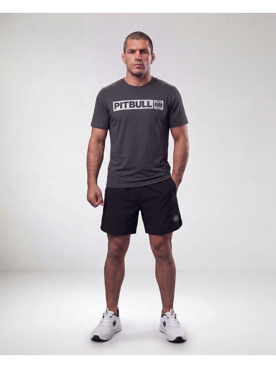PITBULL PITBULL Koszulka techniczna Casual Sport HILLTOP II Szary Regular Fit