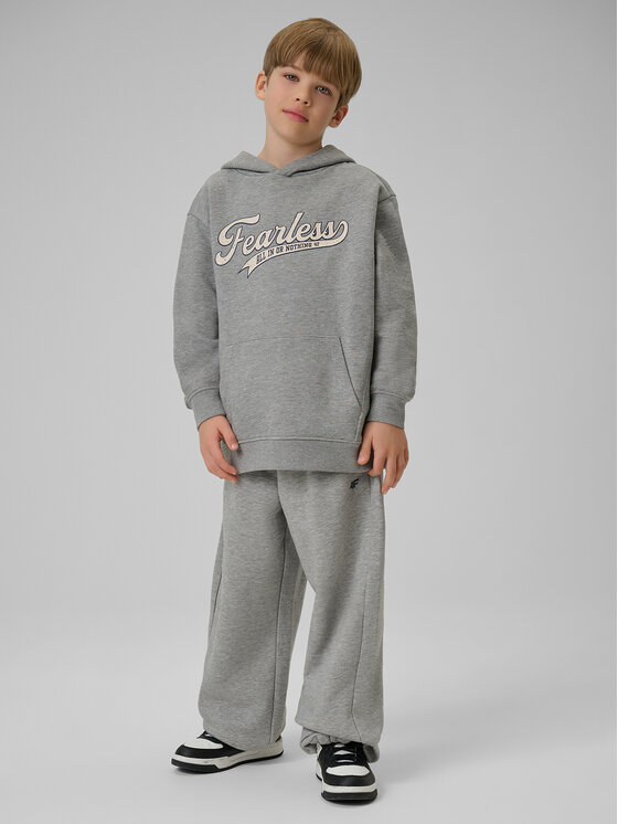 4F 4F Bluza CAMPUS VIBES Szary jasny Loose Fit