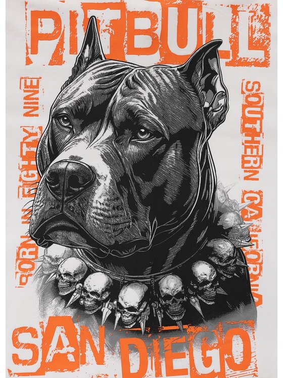 PITBULL PITBULL Bluza BLACKY Biały Regular Fit